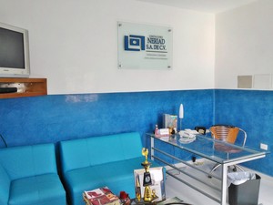 Servicio de Suministro y Aplicación de Paladium Azul Fuerte